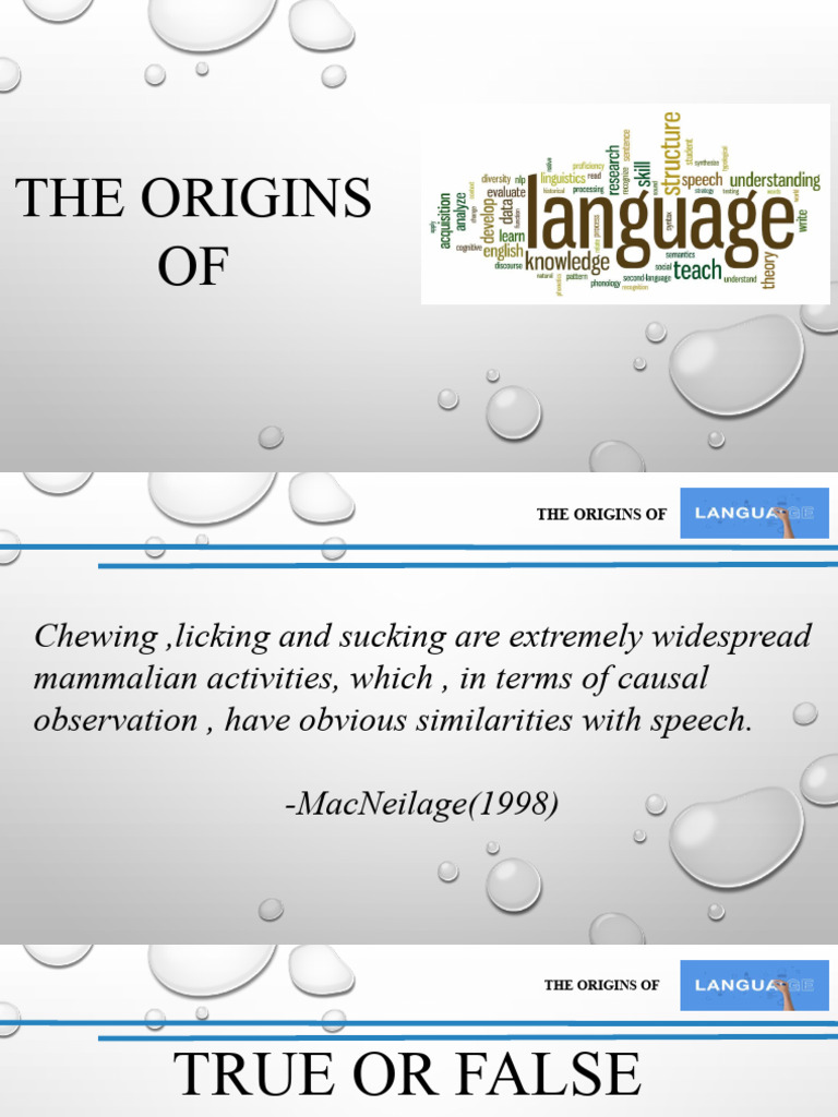 Origins of Language Theories Explained | PDF | Mouth | Larynx
