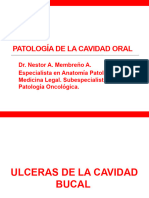 Ulceras D La Cavidad Oral