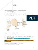 10 - Esquema Complementari PLASTICITAT SINÀPTICA