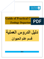 Guide of Practical Courses