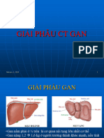 Giai Phau CT Gan