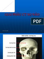 Giai Phau CT So Nao