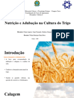 Culturas - Nutrição e Adubação