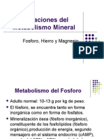 Alteracionesdel Metabolismo Mineral