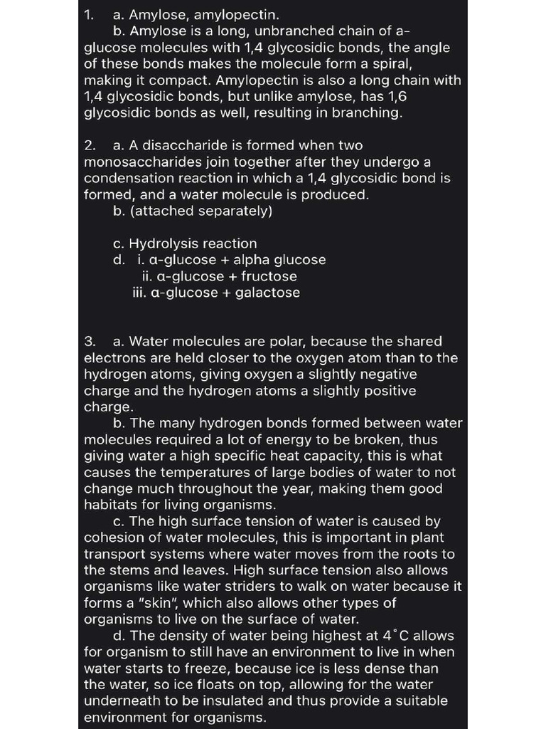 IALbiology Saccharides | PDF