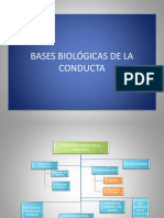 Power Bases Biologic As