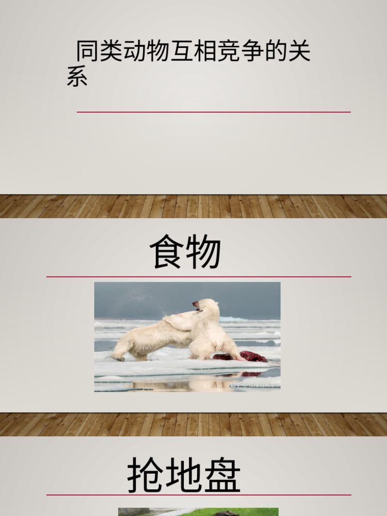 同类 | PDF