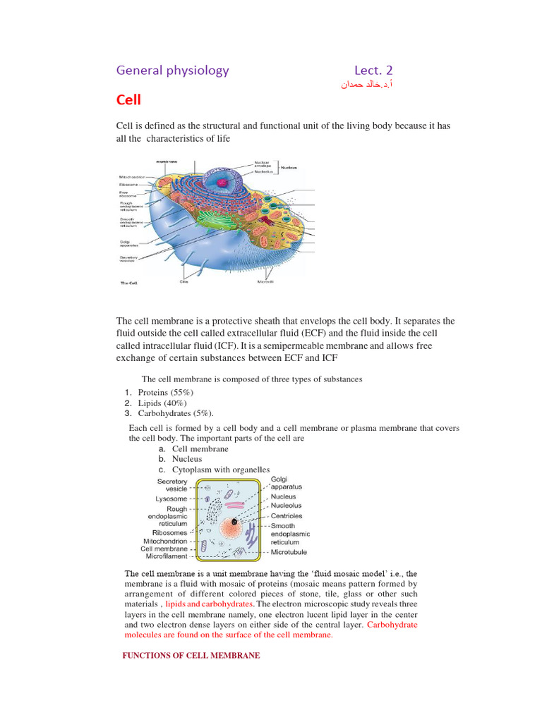 2 - kh201295 kh201295 | PDF | Cell Membrane | Cell (Biology)