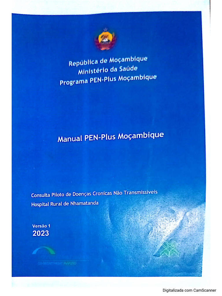 Pen Plus Manual | PDF