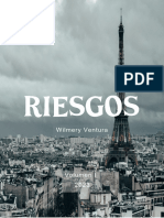 Portada de Riesgos - Wil