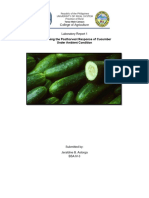 POSTHARVEST: Cucumber