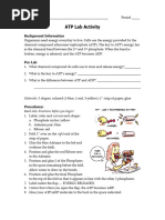 ATP Cut Out Activity 7