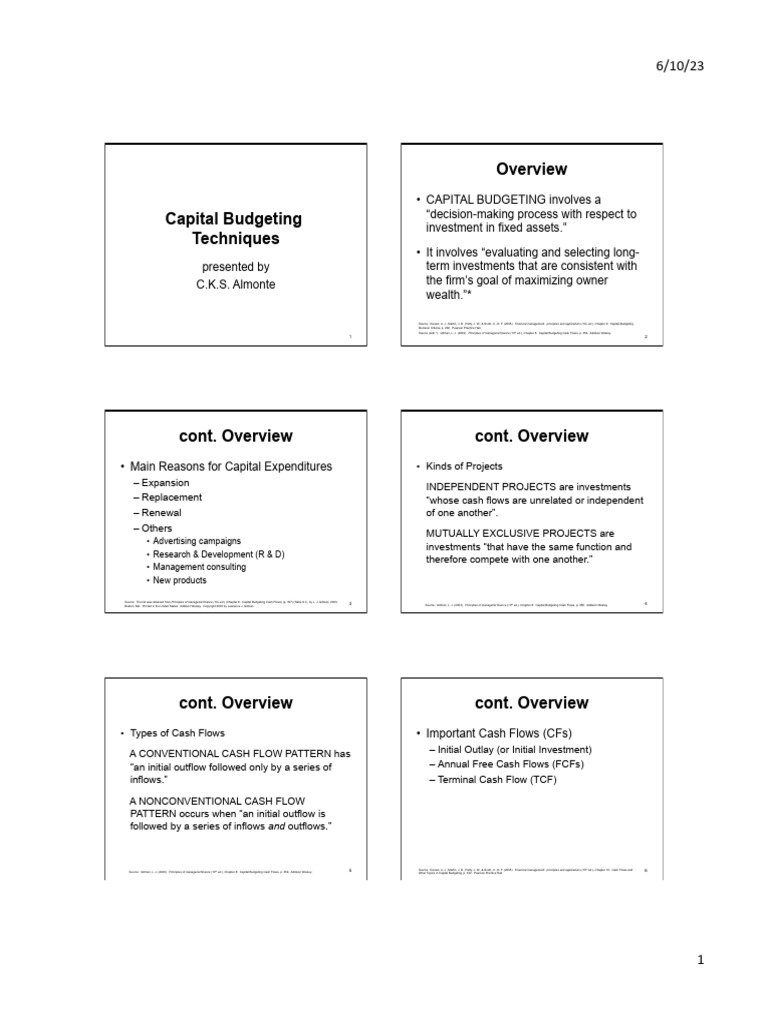 Capital Budgeting Techniques - Online (Student Handouts) | PDF ...