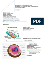 ANATOMÍA