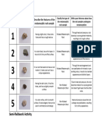 Pictures: Describe The Features of The Metamorphic Rock Sample