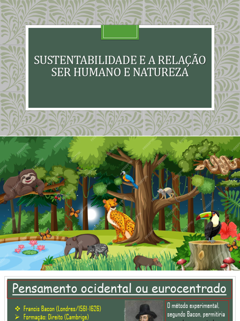 Sustentabilidade E A Relação Ser Humano E Natureza Pdf Science