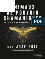 Animaux de Pouvoir Chamaniques - Don José Ruiz