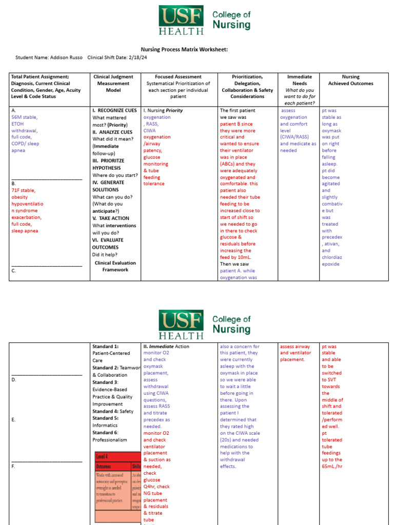 Nursing Process Matrix Worksheet 2 | PDF | Nursing | Patient