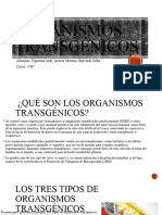 Organismos Transgénicos N°2