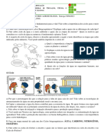 Atividade de Introdução A Agroecologia. Ciclos Biogeoquimicos - PDF A