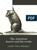 Morgan - The American Beaver and His Works
