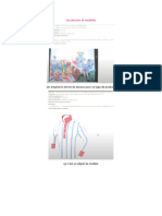 Les Dessins Et Modèles (Droit Informatique)