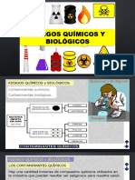 Riesgos Quimicos y Biologicos