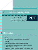 Animalreproduction 150225052248 Conversion Gate02