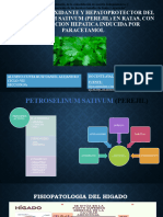 Efecto Antioxidante y Hepatoprotector Del Petroselinum Sativum (Perejil)