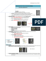 Tema 3 Radiologia