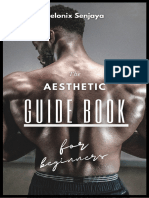 The Aesthetic Guide Book