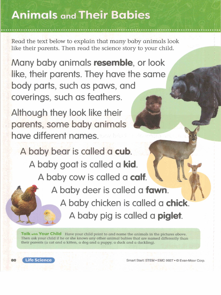 10 Animals and Their Babies | PDF