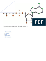Sposoby Syntezy ATP W Komorce