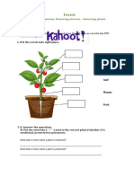 Forest - Microorganisms, Flowering and Nonflowering Plants