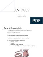 Cestodes Final