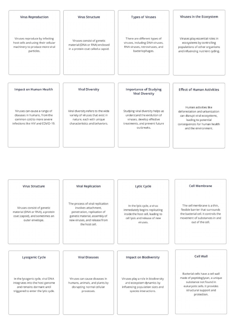 Flashcards Microorganisms | PDF