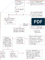 Esquema Amparo