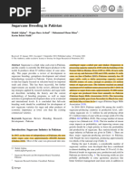 Sugarcane Breeding Hybridization