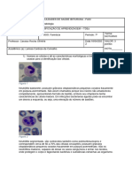 Identificação de Leucócitos