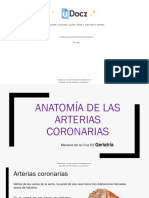 Anatomia de Las Arte 496311 Downloadable 1623195