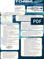 Infografía Cefalópodos Ilustrativo Colores Pastel - 20240318 - 102953 - 0000