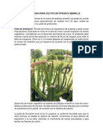 Guía de Podas para Cultivo de Pitahaya Amarilla