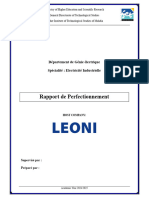 Rapport Perfectionnement LEONI