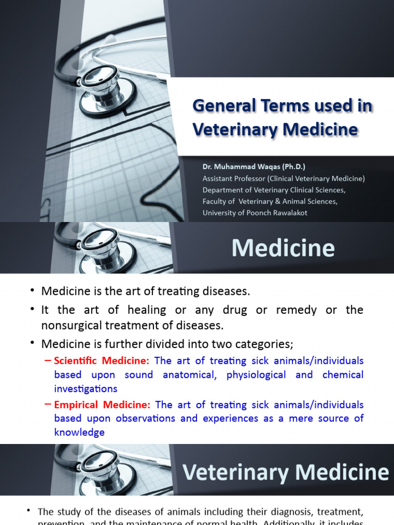 VETERINARY TERMS AND DEFINITIONS intelligence overview