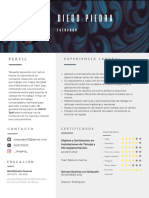 Currículum PDF 