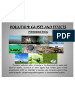Pollution Causes and Effects