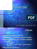 Cálcio