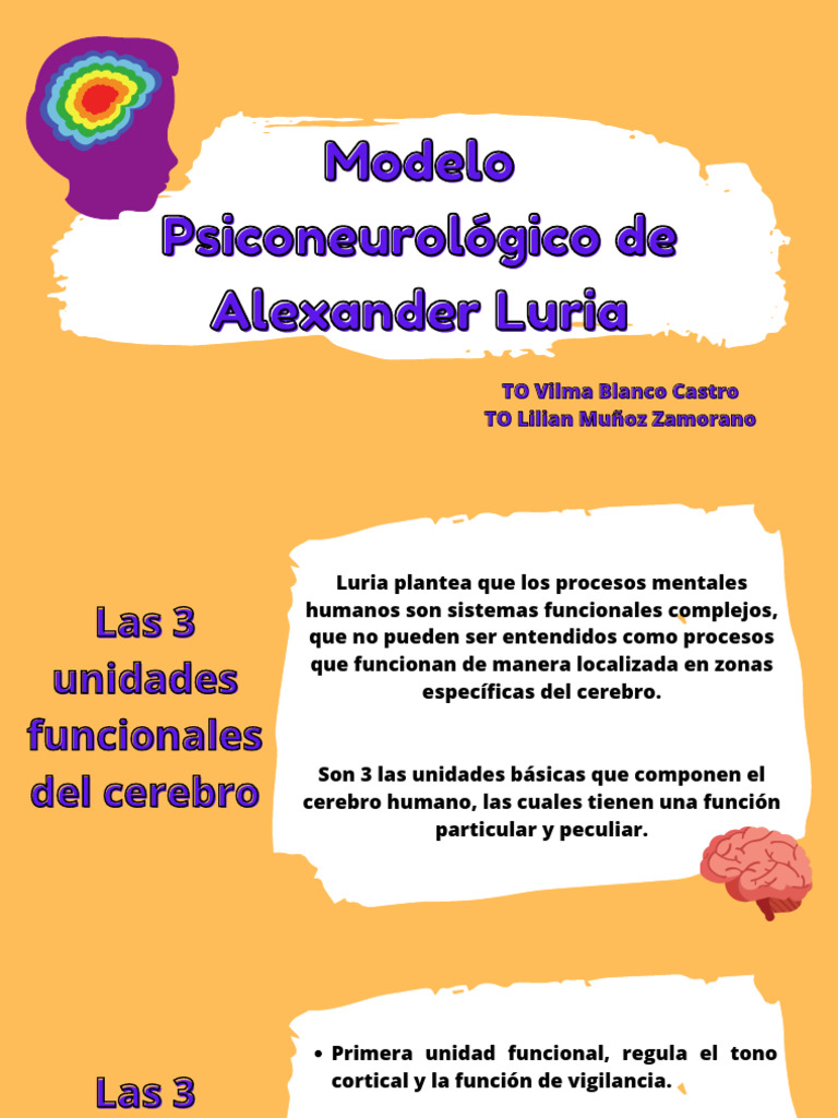 Modelo Psiconeurológico de Alexander Luria | PDF | Cerebro | Corteza ...