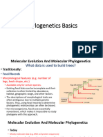 7 - Phylogentics Basics
