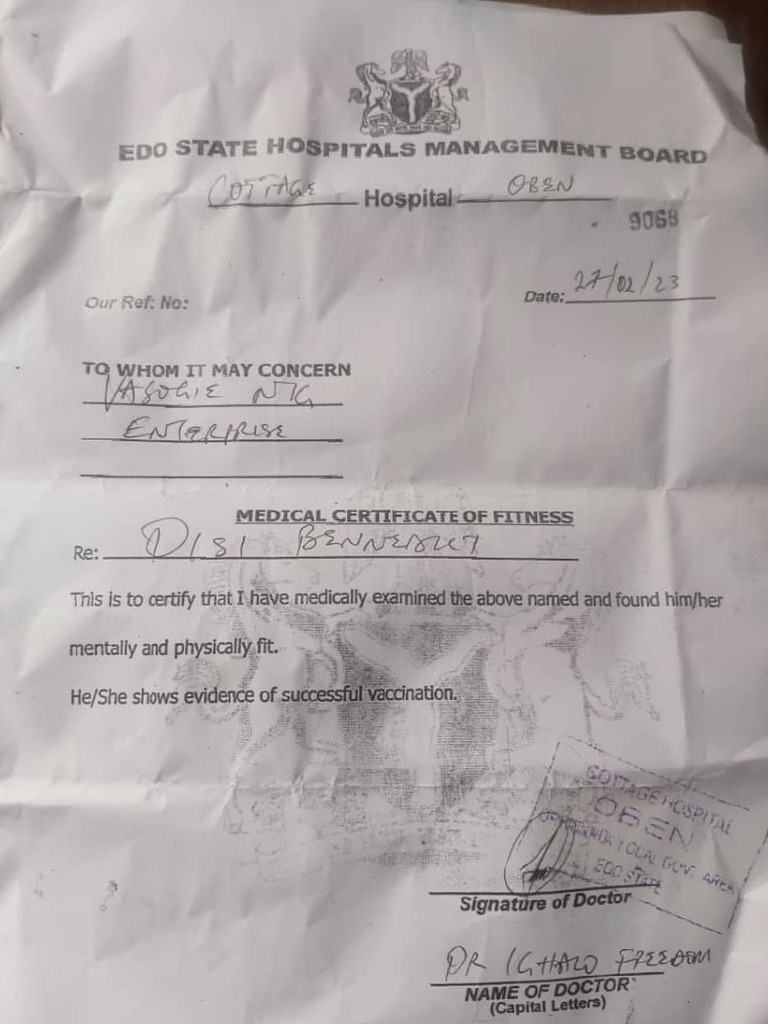 What is Fitbit Labs visual data 8